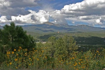 Obituary of Eugene William "Gene" Minderman