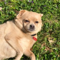 Obituary of Jason Robert Frey