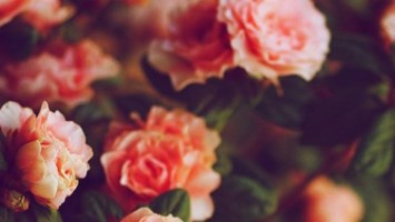 Obituary of Edward Russell Dixon