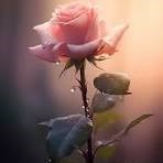 Obituary of Beverley Estelle Heath