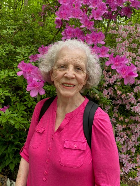 Obituary of June Frances Forte