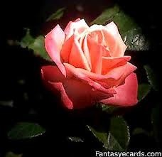 Obituary of Alta Mae Davlin