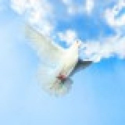 Obituary of Griffith George