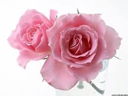 Avis de décès de Mildred Reese Jones