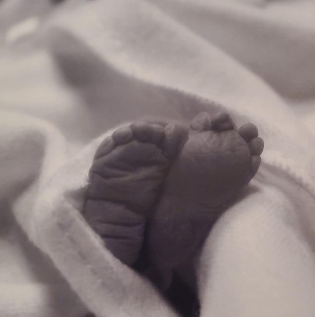 Obituary of Eiza Ehlany Rodriguez