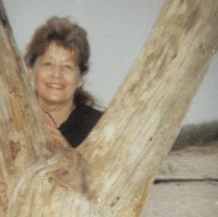 Obituary of Valerie Ann Ponticelli