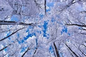 Obituary of Joyce Beverly Eubanks