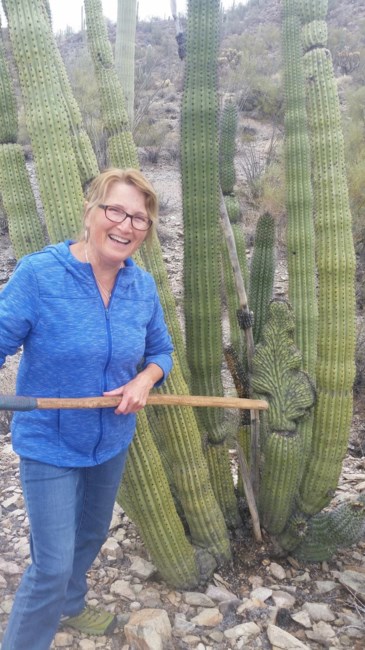 Obituario de Terry Ann Taronno