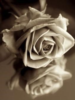 Larry Lawrence Obituary Brownsville Tx