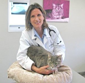 Obituary of Jessie Ann Buel