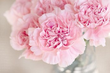 Obituary of Tuyet Ngoc Huynh