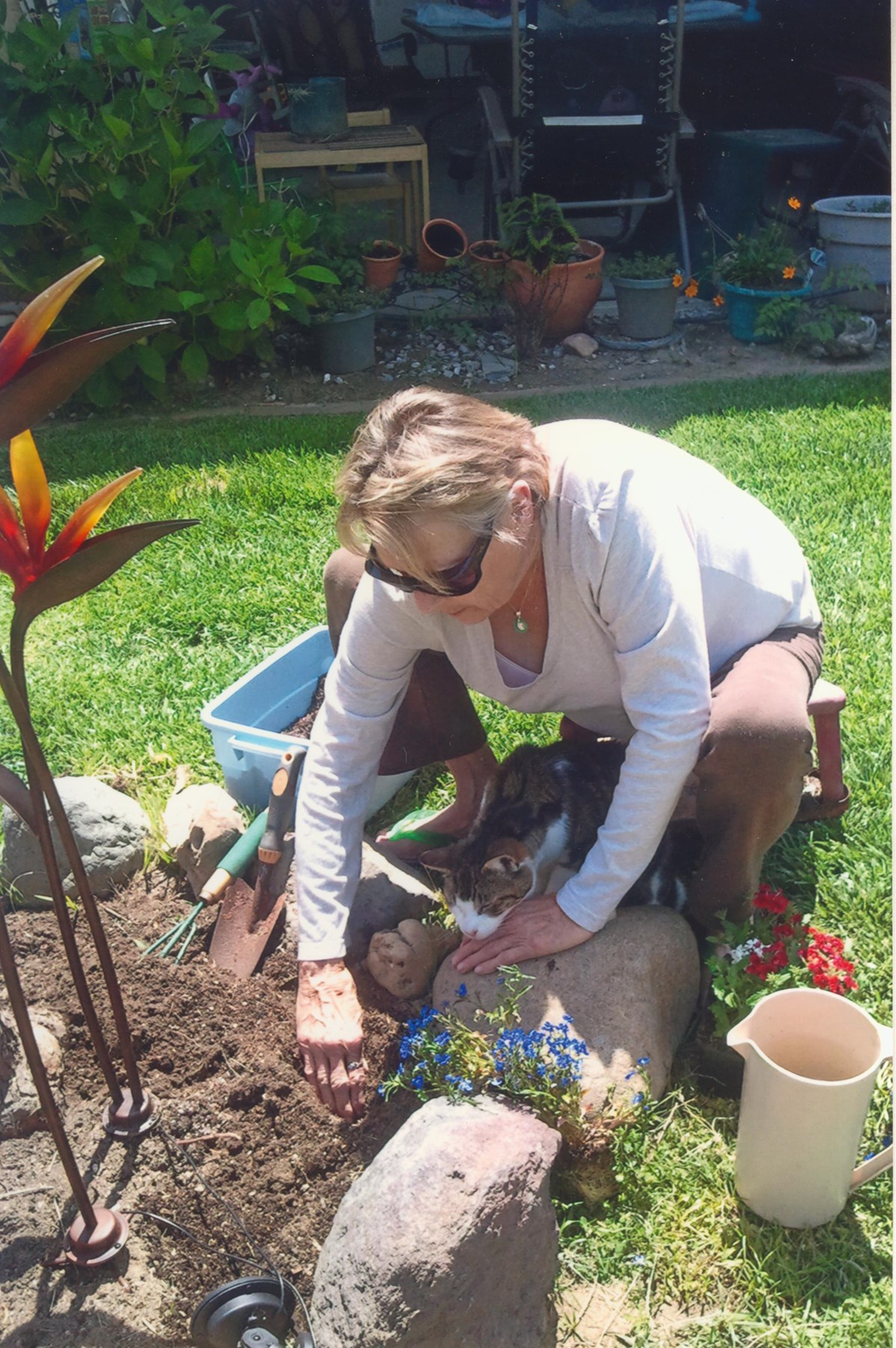 Obituary of Frances "Sandy" Snodgrass