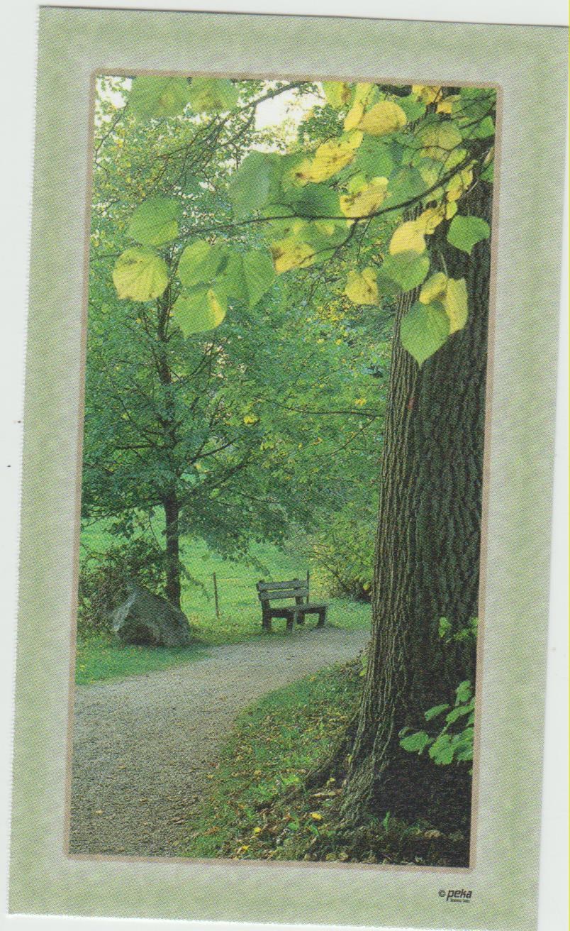 Obituary of Evans "Sonny" Knightner