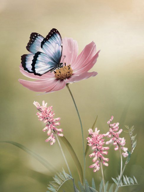 Obituary of Maria Patricia Edwards Santillana