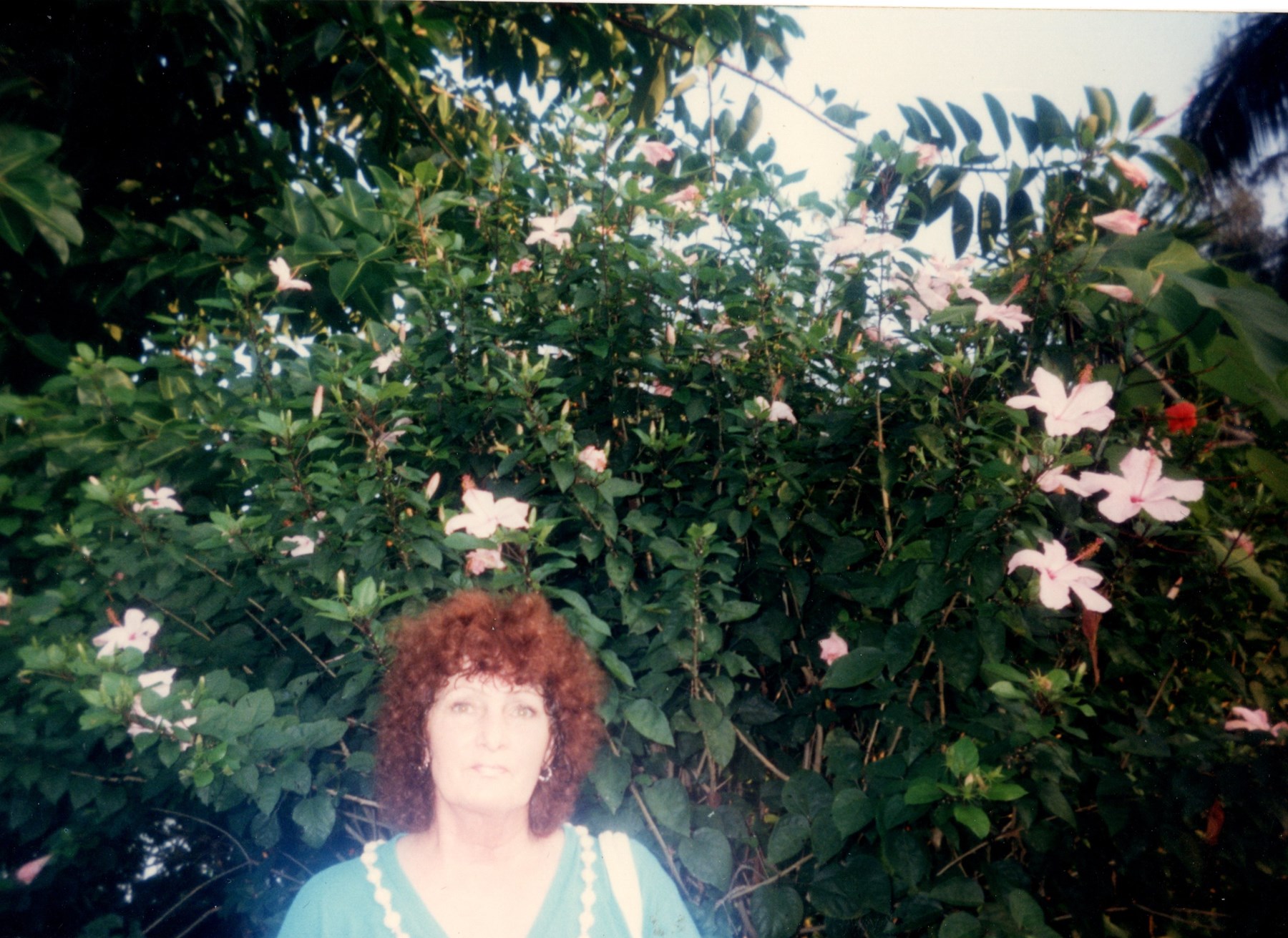 Obituary of Alice D. Douglas