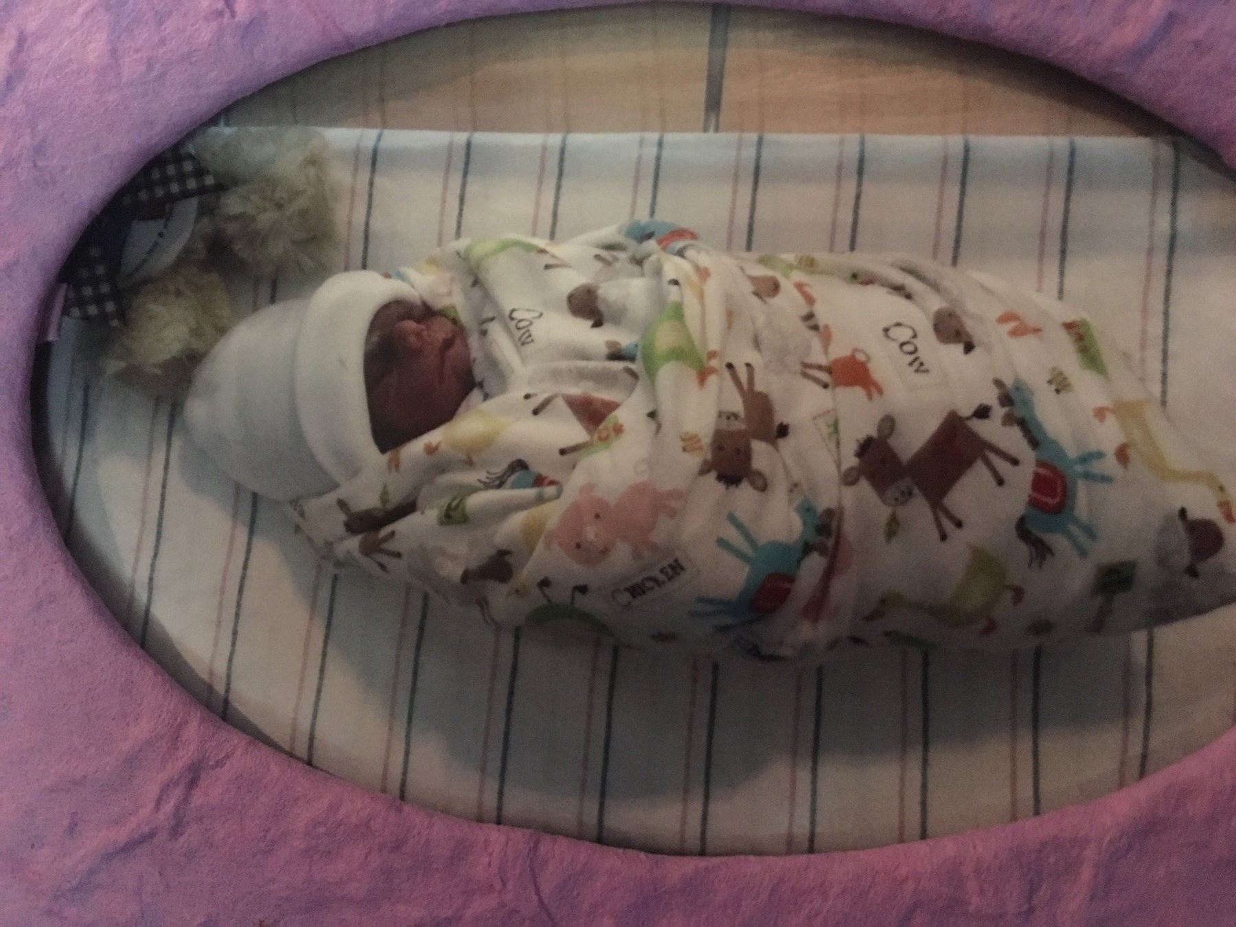 Obituary of Theodore Magnus Gonzalez