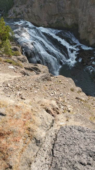 Avis de décès de Diane Gail Walters