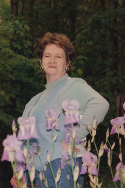 Obituary of Nancy Evelyne Sturgill