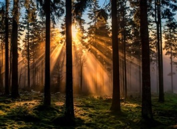 Obituary of Robert Edward Walker