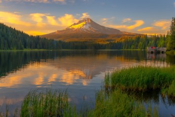 Obituary of Frank Jake Booker