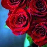 Obituary of Nancy Jean Dennis