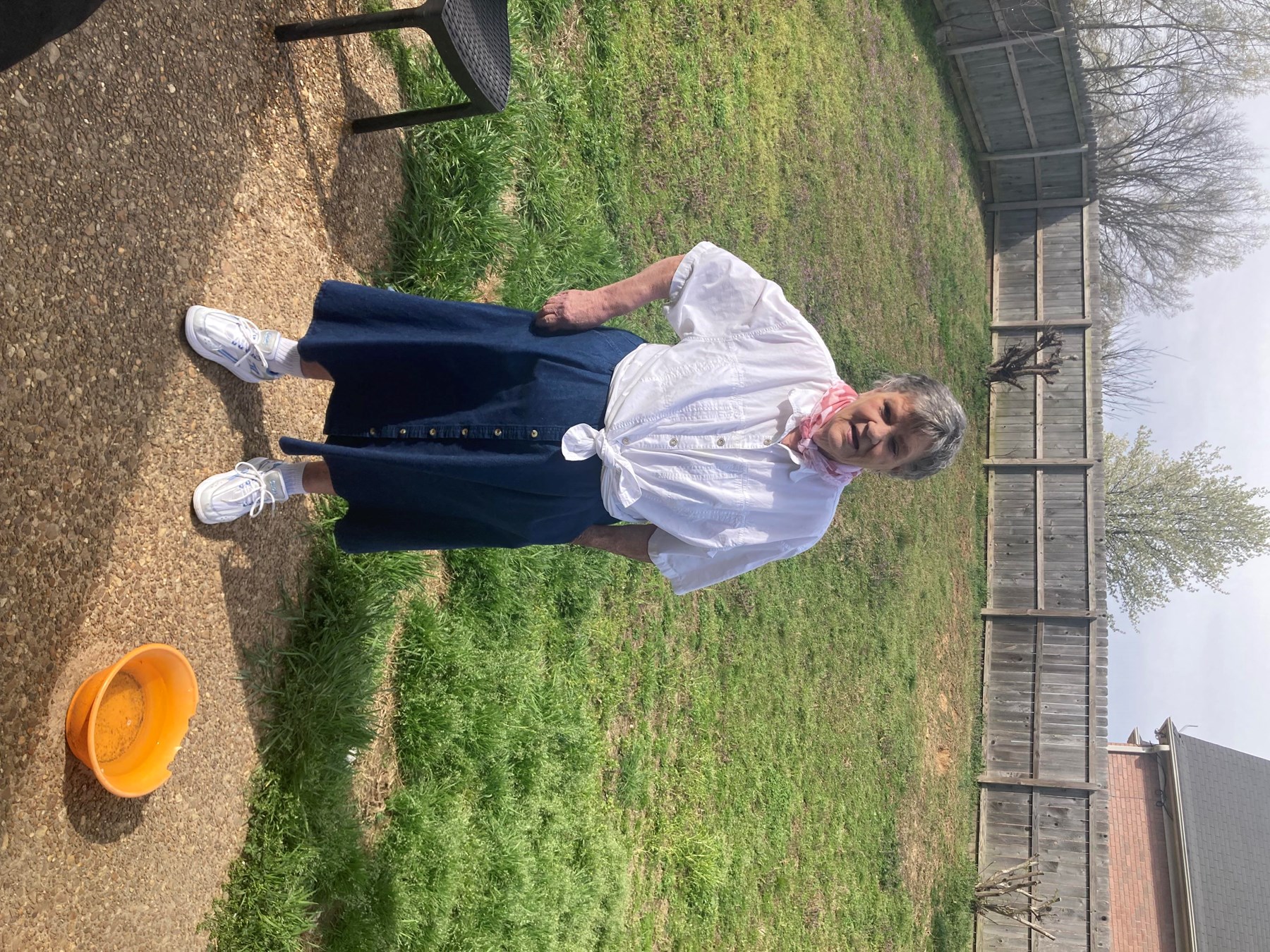 Obituary of Alice Faye Reed