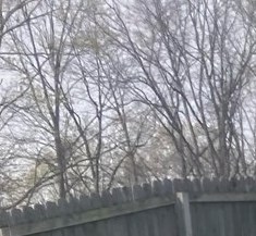 Alice Reed Obituary - Olive Branch, MS