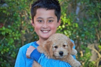 Obituary of Dunnovan Andrew Yunchi Healy