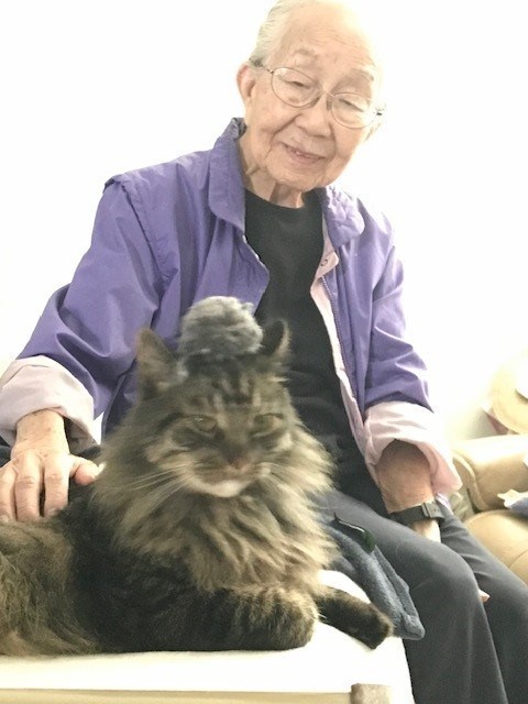 Obituary of June Fumiko Honda