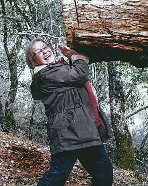 Obituary of Brigitte Margarete Elisabet Beasley