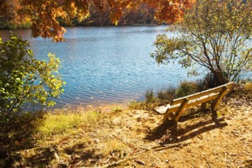 Obituary of William Edward Dickenson Jr.