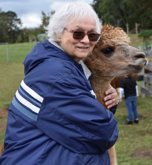 Obituary of Phyllis Glaz