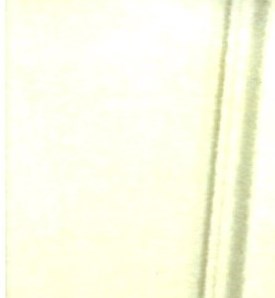 Tania Lee Webster Obituary - Hixson, TN Tania Lee Webster Obituary - Hixson, TN