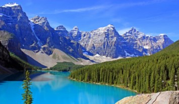 Obituary of George Garner Guy