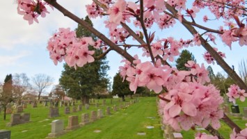 Obituary of Marilyn Horton Hackney