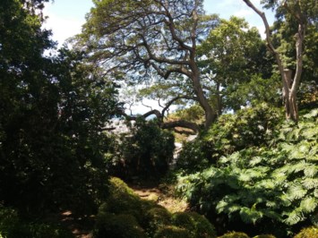 Obituary of Paul Edward Schultz