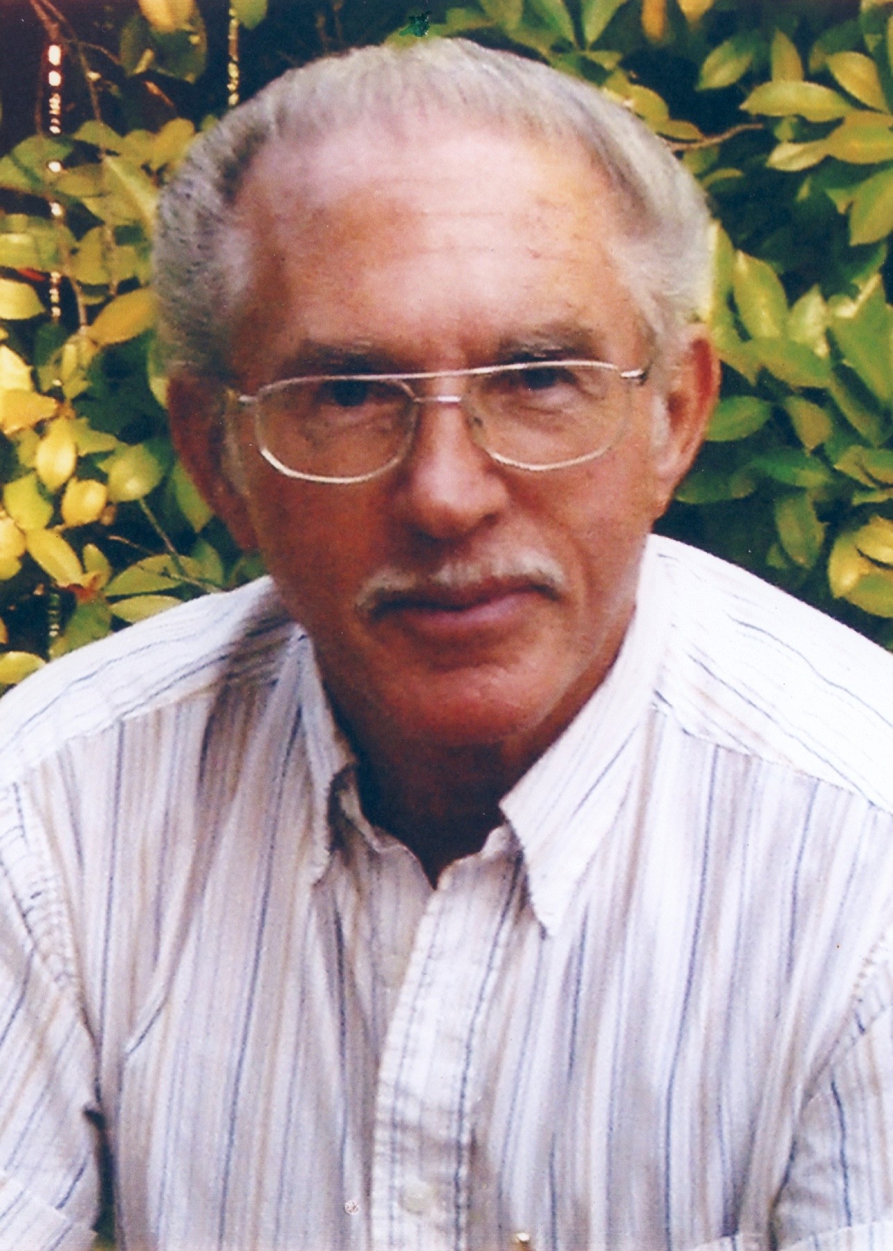 The Unexpected History Behind Southern Oaks Obituaries - w2td329