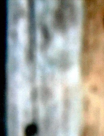 First Lady Velma Ree (Davis) Randle Obituary - Houston, TX