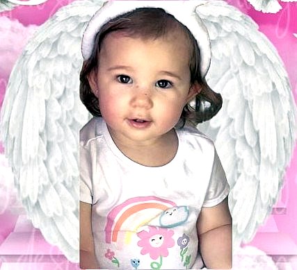 Obituary of Sage Haven Harter