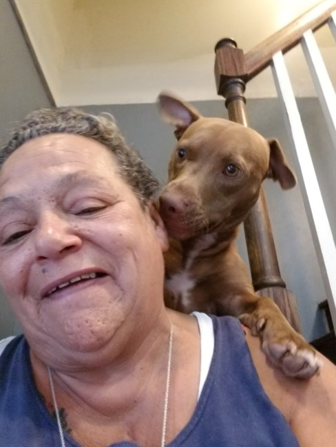 Obituary of Tracy Elizabeth Byrd