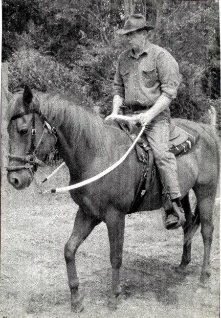 Obituary of Lawrence P. Cox