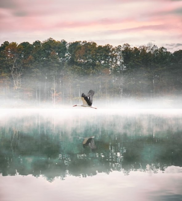 Obituary of Thomas J. Sapak