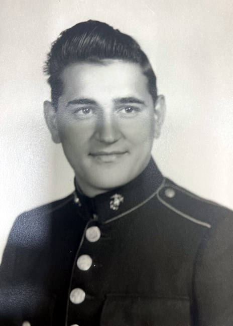 Obituary of Vincent DePaul DiGiulio