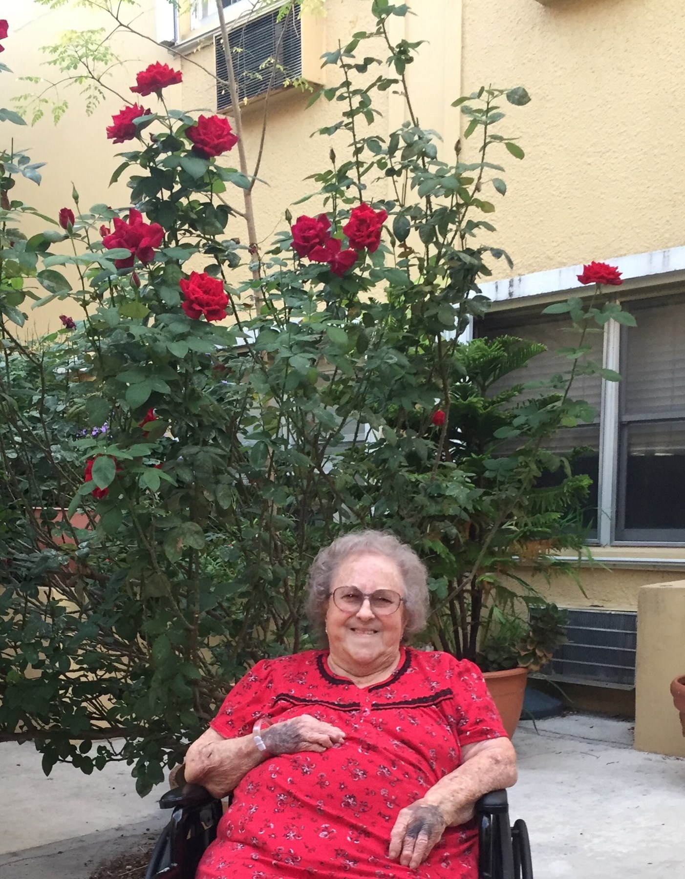 Avis de décès de Sylvia Tucker