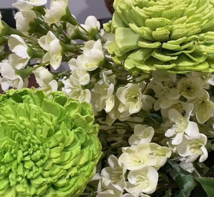 Obituary of Carol Sherman Davis