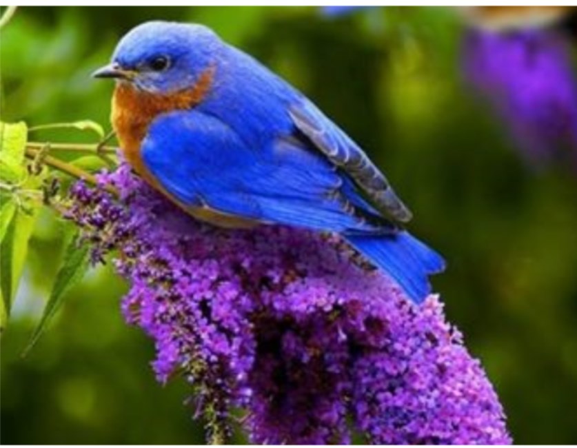 Obituary of Verna Joyce WILSON