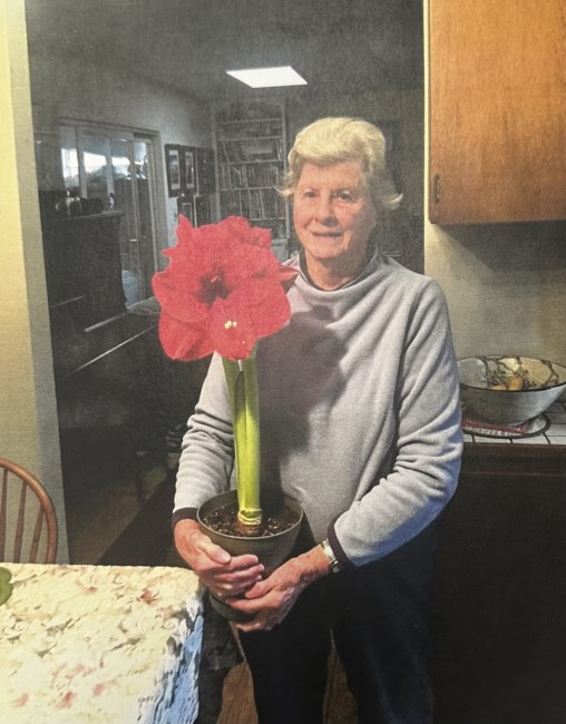 Obituary of Nancy Lynn Schott