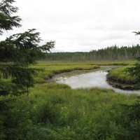 Obituary of Marion Lelia Nelson