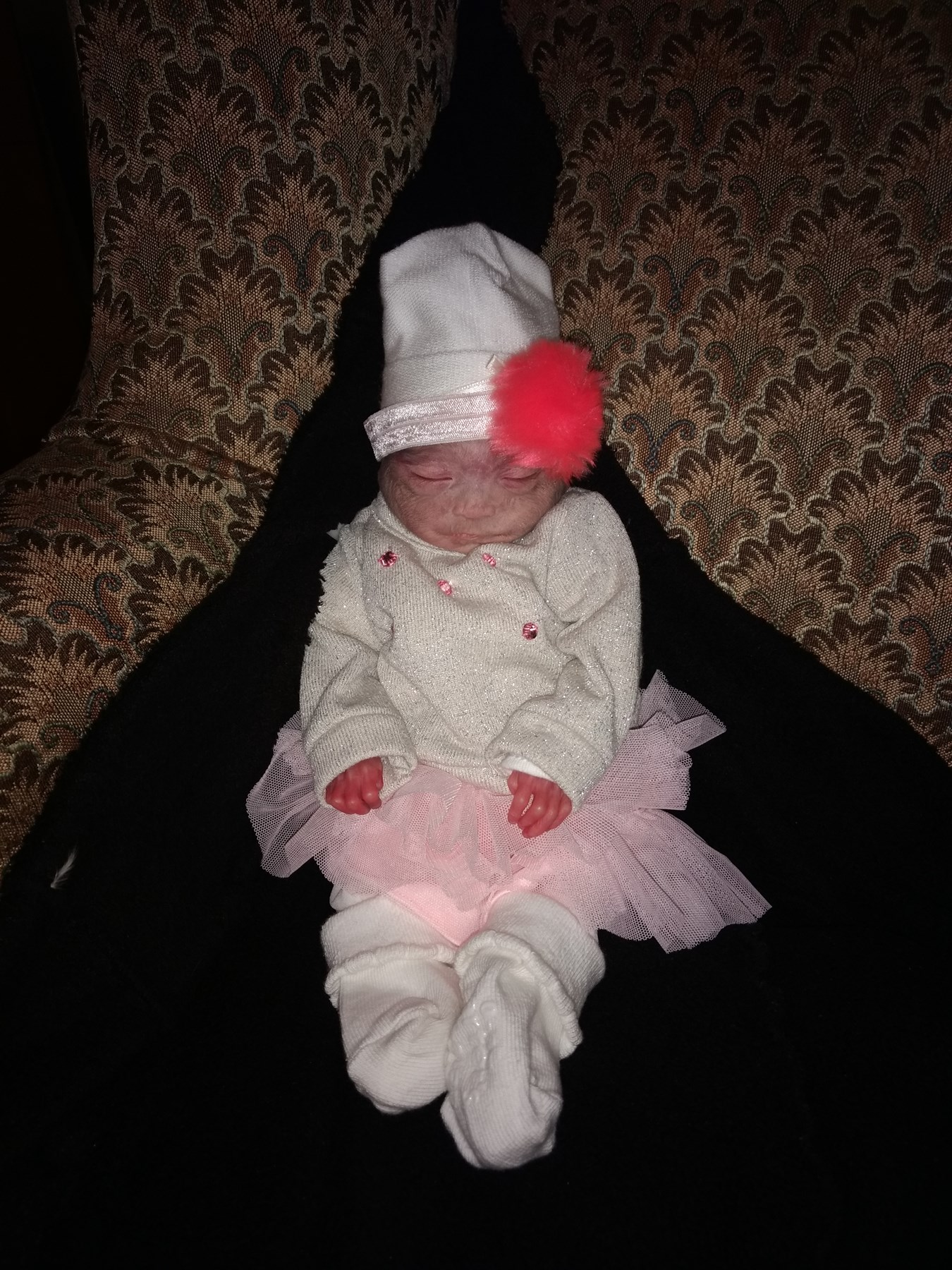 Roxana Alquezada Cruz Obituary Chicago, IL