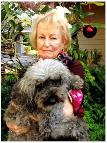 Obituary of Ann Lyman Steffens